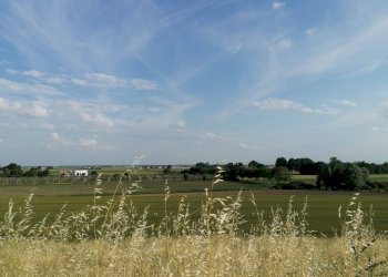 Foto 2 - Terreno agricolo Salvatonica, Bondeno - foto 2