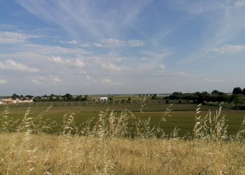 Foto 3 - Terreno agricolo Salvatonica, Bondeno - foto 3