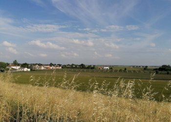 Foto 4 - Terreno agricolo Salvatonica, Bondeno - foto 4