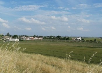 Foto 5 - Terreno agricolo Salvatonica, Bondeno - foto 5