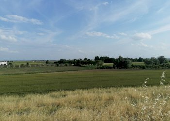 Foto 6 - Terreno agricolo Salvatonica, Bondeno - foto 6