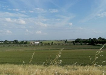 Foto 7 - Terreno agricolo Salvatonica, Bondeno - foto 7