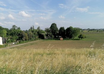 Foto 8 - Terreno agricolo Salvatonica, Bondeno - foto 8