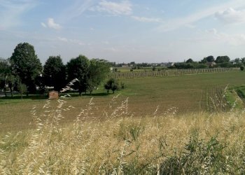 Foto 9 - Terreno agricolo Salvatonica, Bondeno - foto 9