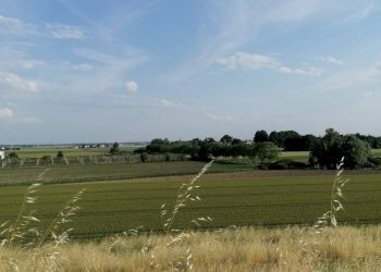 Foto 10 - Terreno agricolo Salvatonica, Bondeno - foto 10