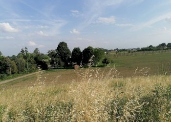 Foto 13 - Terreno agricolo Salvatonica, Bondeno - foto 13