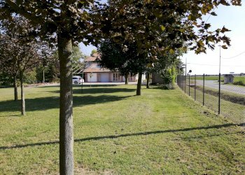 Foto 7 - Casa indipendente molinellina, Argenta - foto 7