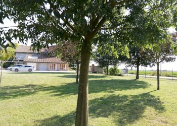 Foto 10 - Casa indipendente molinellina, Argenta - foto 10