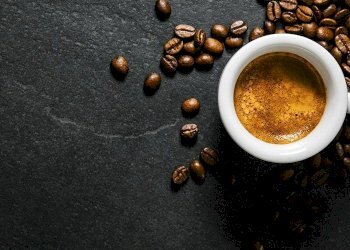 Foto 1 - Commercial Activity Corso Della Giovecca, Ferrara - photo 1