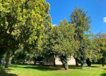 Foto 36 - Casa indipendente Via Pomposa, Ferrara - foto 36