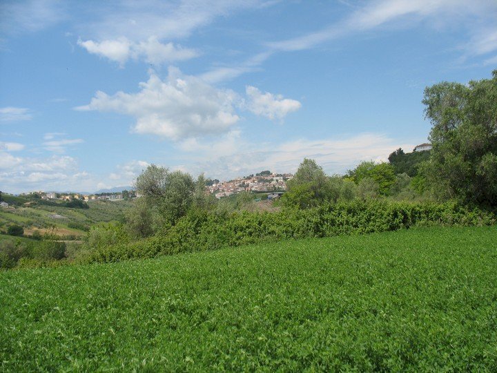 Foto 3 - Terreno agricolo SS16 BIS, Spoltore - foto 3