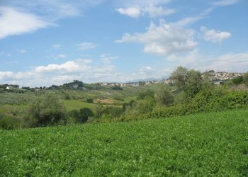 Foto 4 - Terreno agricolo SS16 BIS, Spoltore - foto 4