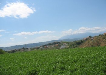 Foto 5 - Terreno agricolo SS16 BIS, Spoltore - foto 5