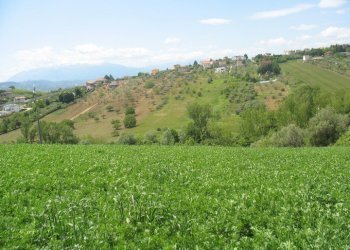 Foto 6 - Terreno agricolo SS16 BIS, Spoltore - foto 6