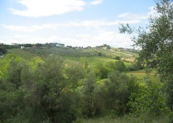 Foto 7 - Terreno agricolo SS16 BIS, Spoltore - foto 7