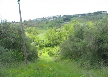 Foto 8 - Terreno agricolo SS16 BIS, Spoltore - foto 8