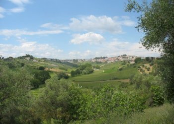 Foto 9 - Terreno agricolo SS16 BIS, Spoltore - foto 9