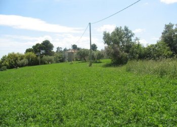 Foto 10 - Terreno agricolo SS16 BIS, Spoltore - foto 10