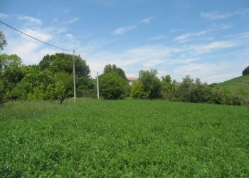 Foto 11 - Terreno agricolo SS16 BIS, Spoltore - foto 11