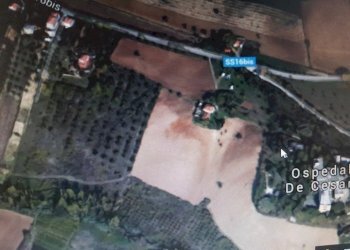 Foto 13 - Terreno agricolo SS16 BIS, Spoltore - foto 13