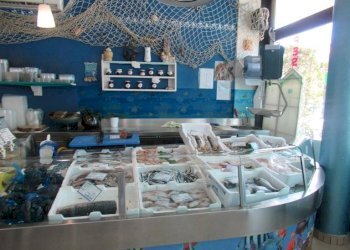 Foto 3 - Commercial Activity Montesilvano - photo 3