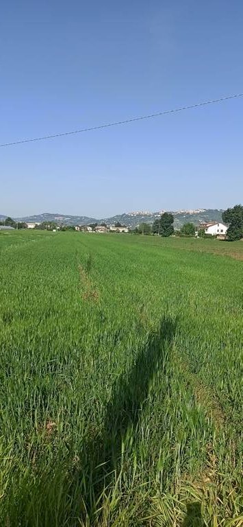 Foto 1 - Terreno edificabile Cepagatti - foto 1