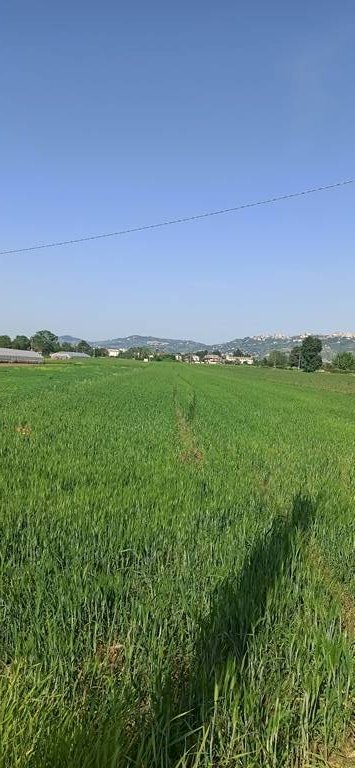 Foto 2 - Terreno edificabile Cepagatti - foto 2