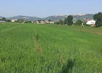 Foto 1 - Terreno edificabile Cepagatti - foto 1