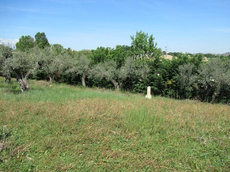 Foto 3 - Terreno edificabile Spoltore - foto 3