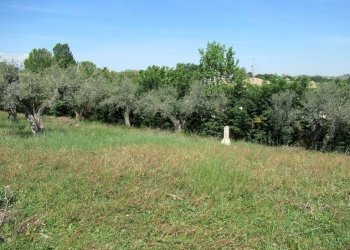 Foto 3 - Terreno edificabile Spoltore - foto 3