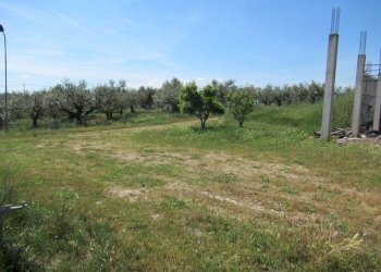 Foto 9 - Terreno edificabile Spoltore - foto 9