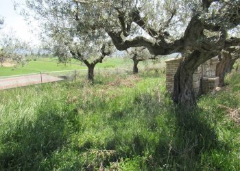 Foto 11 - Terreno edificabile Spoltore - foto 11