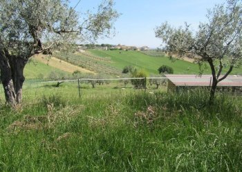 Foto 12 - Terreno edificabile Spoltore - foto 12