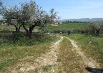 Foto 15 - Terreno edificabile Spoltore - foto 15