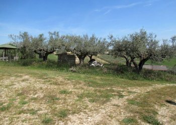 Foto 19 - Terreno edificabile Spoltore - foto 19