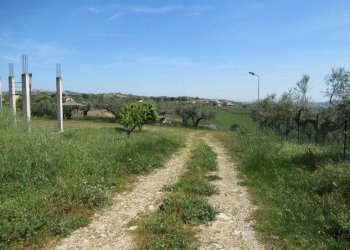 Foto 20 - Terreno edificabile Spoltore - foto 20