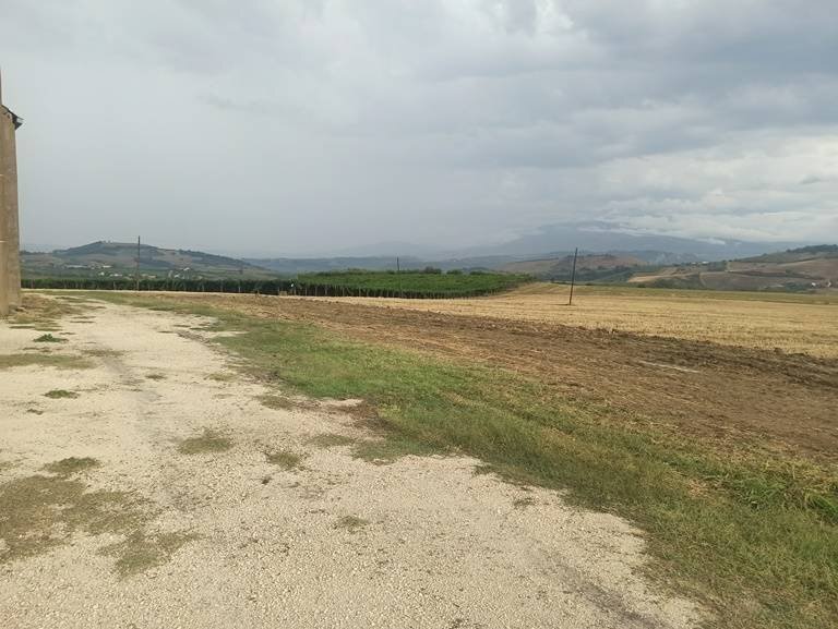 Foto 2 - Terreno agricolo C.da Colle San Lorenzo, Nocciano - foto 2