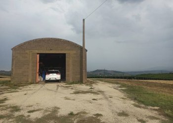 Foto 1 - Terreno agricolo C.da Colle San Lorenzo, Nocciano - foto 1