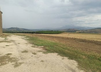 Foto 2 - Terreno agricolo C.da Colle San Lorenzo, Nocciano - foto 2