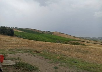 Foto 3 - Terreno agricolo C.da Colle San Lorenzo, Nocciano - foto 3