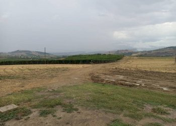 Foto 4 - Terreno agricolo C.da Colle San Lorenzo, Nocciano - foto 4