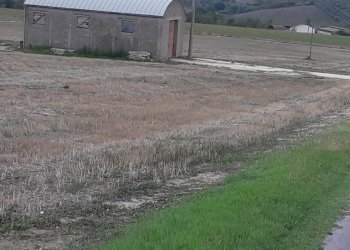 Foto 5 - Terreno agricolo C.da Colle San Lorenzo, Nocciano - foto 5