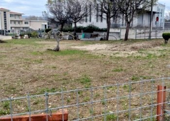 Foto 1 - Agriturismo Viale Europa, Spoltore - foto 1