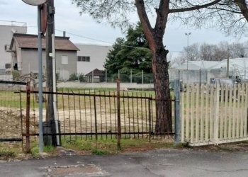 Foto 2 - Agriturismo Viale Europa, Spoltore - foto 2