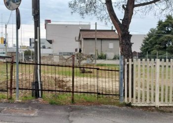 Foto 3 - Agriturismo Viale Europa, Spoltore - foto 3