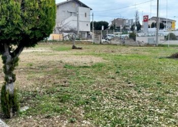 Foto 4 - Agriturismo Viale Europa, Spoltore - foto 4