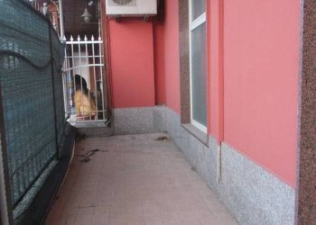 Foto 14 - Locale Commerciale via nazionale
 
58, Cepagatti - foto 14