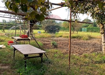 Giardino - Agricultural land via Boscaccio, Settimo Milanese - photo 5