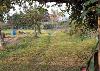 Giardino - Agricultural land via Boscaccio, Settimo Milanese - photo 8