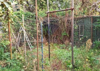 Giardino - Agricultural land via Boscaccio, Settimo Milanese - photo 9